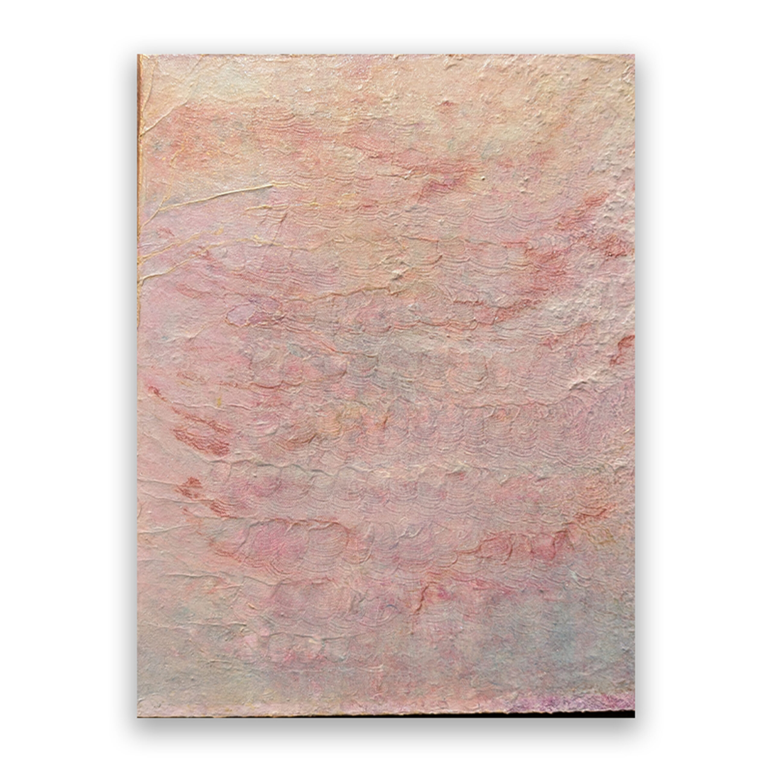 PXL_20251114_015105147 - 小西美香画像